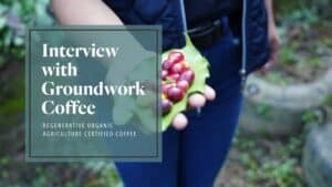 Interview with Groundwork Coffee: Regenerative Organix Agriculture Certified Coffee